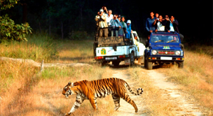 chilla-wildlife-sanctuary-in-haridwar