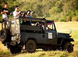 jeep-safari-services