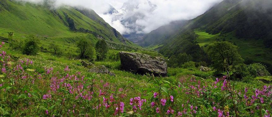 valley-of-flowers-trekking-route